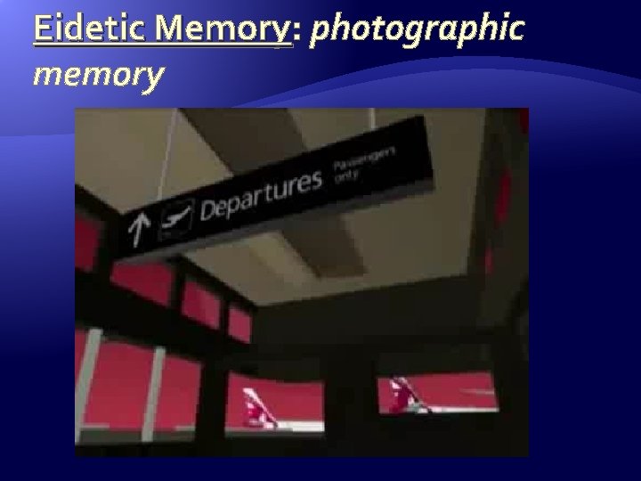 Eidetic Memory: photographic : memory 