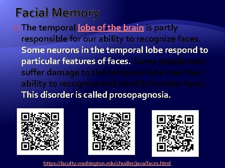 Facial Memory � The temporal lobe of the brain is partly responsible for our