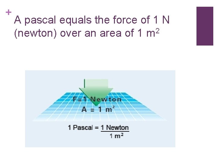 + A pascal equals the force of 1 N (newton) over an area of