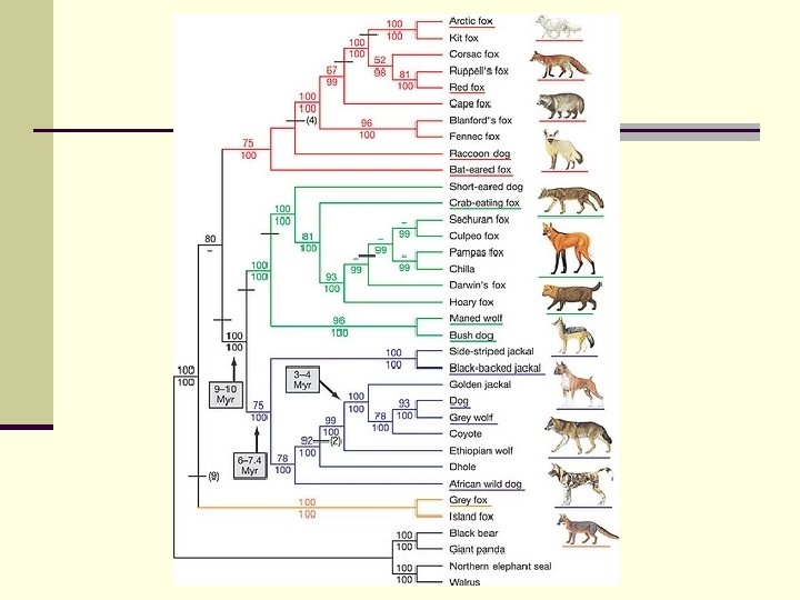 The Theory of Evolution by Natural Selection Do