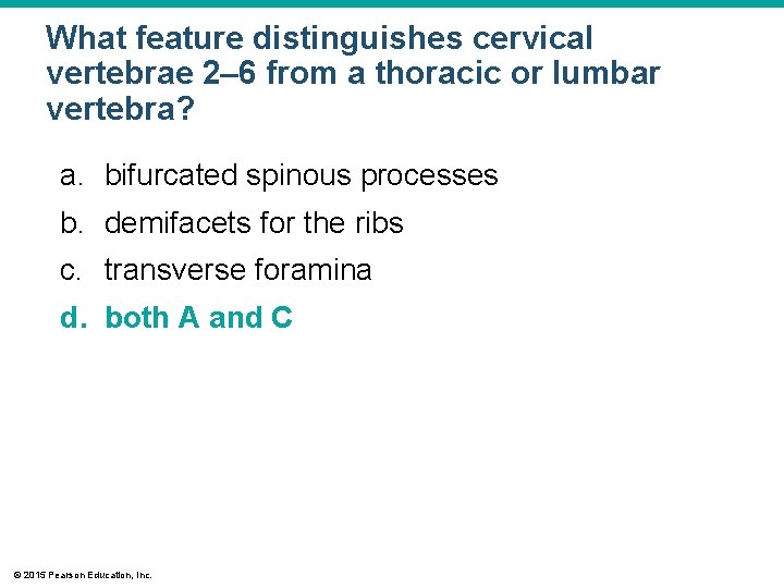 What feature distinguishes cervical vertebrae 2– 6 from a thoracic or lumbar vertebra? a.