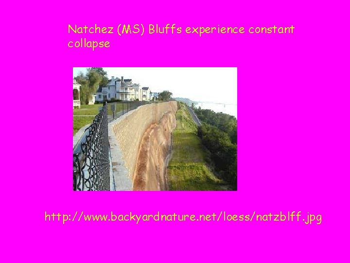 Natchez (MS) Bluffs experience constant collapse http: //www. backyardnature. net/loess/natzblff. jpg 