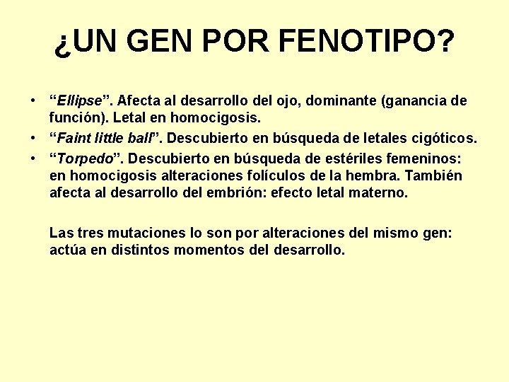 ¿UN GEN POR FENOTIPO? • “Ellipse”. Afecta al desarrollo del ojo, dominante (ganancia de