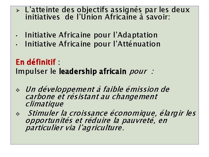 Ø • • L’atteinte des objectifs assignés par les deux initiatives de l’Union Africaine