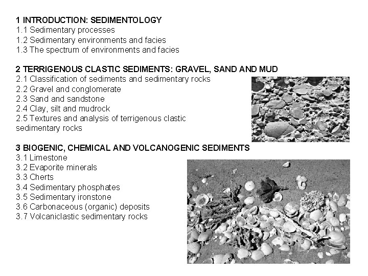 1 INTRODUCTION: SEDIMENTOLOGY 1. 1 Sedimentary processes 1. 2 Sedimentary environments and facies 1.