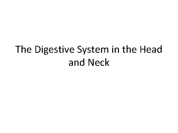 The Digestive System in the Head and Neck 