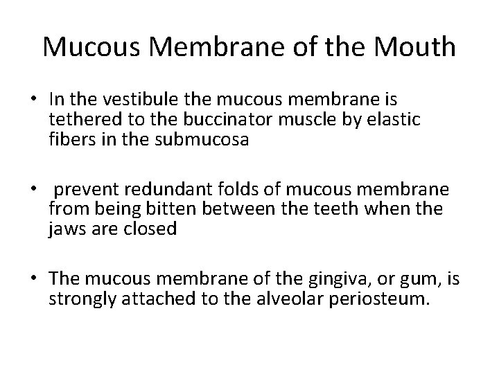 Mucous Membrane of the Mouth • In the vestibule the mucous membrane is tethered