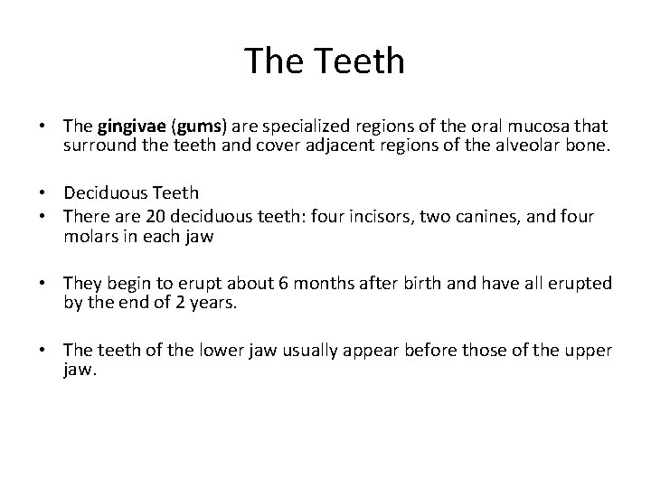 The Teeth • The gingivae (gums) are specialized regions of the oral mucosa that