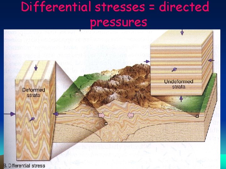 Differential stresses = directed pressures 