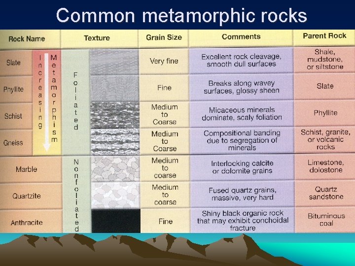 Common metamorphic rocks 