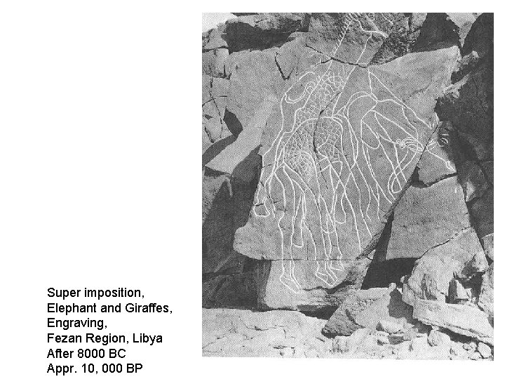 Super imposition, Elephant and Giraffes, Engraving, Fezan Region, Libya After 8000 BC Appr. 10, Super imposition, Elephant and Giraffes, Engraving, Fezan Region, Libya After 8000 BC Appr. 10,