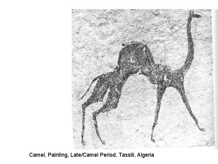 Camel, Painting, Late/Camel Period, Tassili, Algeria Camel, Painting, Late/Camel Period, Tassili, Algeria