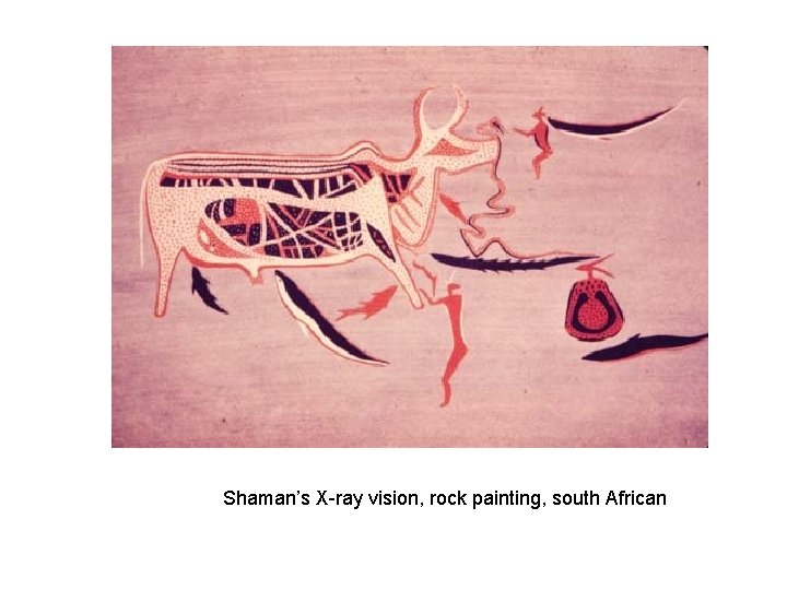 Shaman’s X-ray vision, rock painting, south African Shaman’s X-ray vision, rock painting, south African