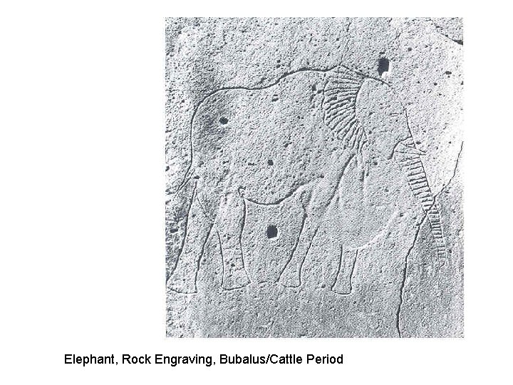 Elephant, Rock Engraving, Bubalus/Cattle Period Elephant, Rock Engraving, Bubalus/Cattle Period