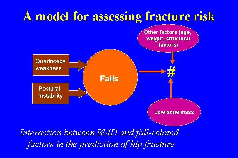 A model for assessing fracture risk Other factors (age, weight, structural factors) Quadriceps weakness