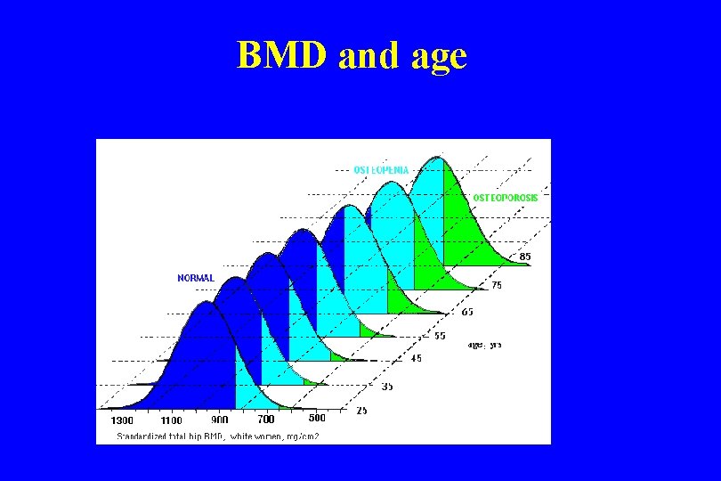 BMD and age 