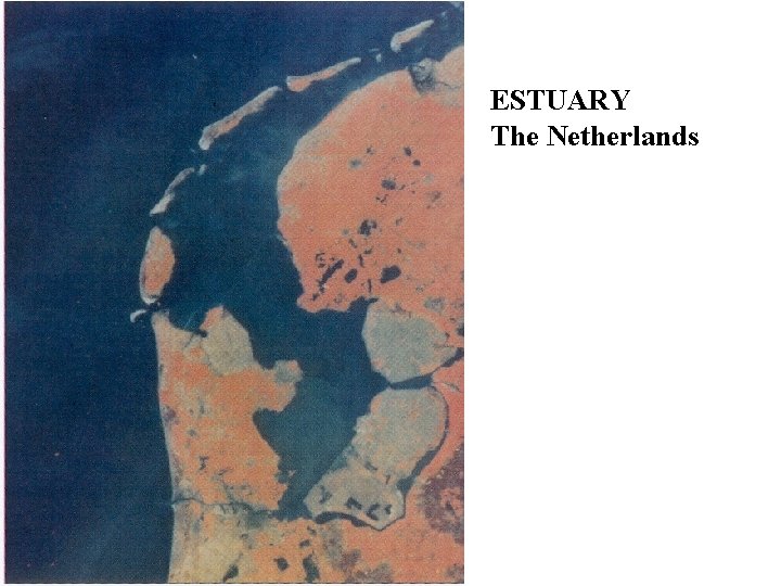 ESTUARY The Netherlands 