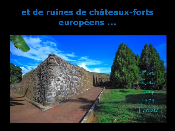 et de ruines de châteaux-forts européens … 