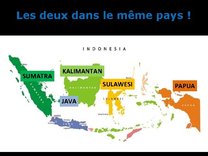 Les deux dans le même pays ! SUMATRA KALIMANTAN SULAWESI JAVA PAPUA 