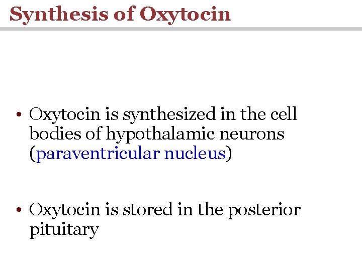 Synthesis of Oxytocin • Oxytocin is synthesized in the cell bodies of hypothalamic neurons