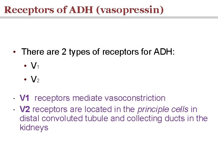 Receptors of ADH (vasopressin) • There are 2 types of receptors for ADH: •