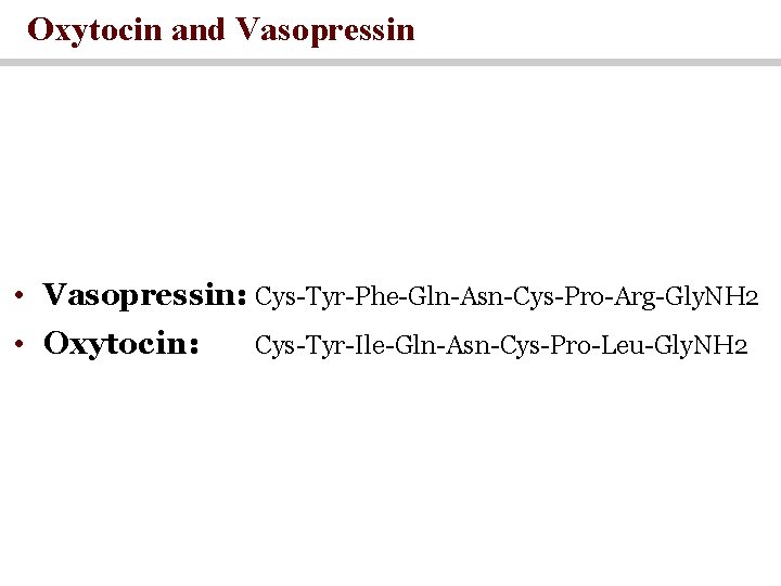 Oxytocin and Vasopressin • Vasopressin: Cys-Tyr-Phe-Gln-Asn-Cys-Pro-Arg-Gly. NH 2 • Oxytocin: Cys-Tyr-Ile-Gln-Asn-Cys-Pro-Leu-Gly. NH 2 