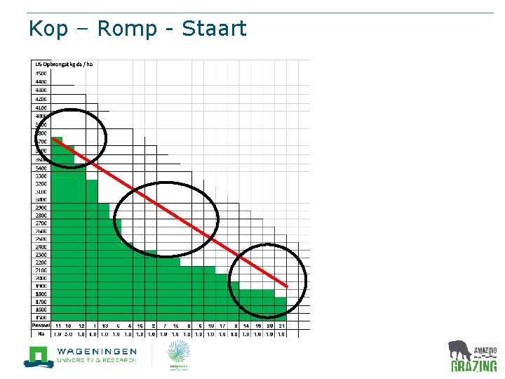 Kop – Romp - Staart 9 