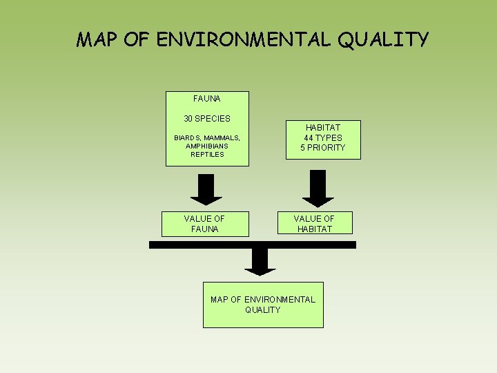 MAP OF ENVIRONMENTAL QUALITY FAUNA 30 SPECIES BIARDS, MAMMALS, AMPHIBIANS REPTILES VALUE OF FAUNA