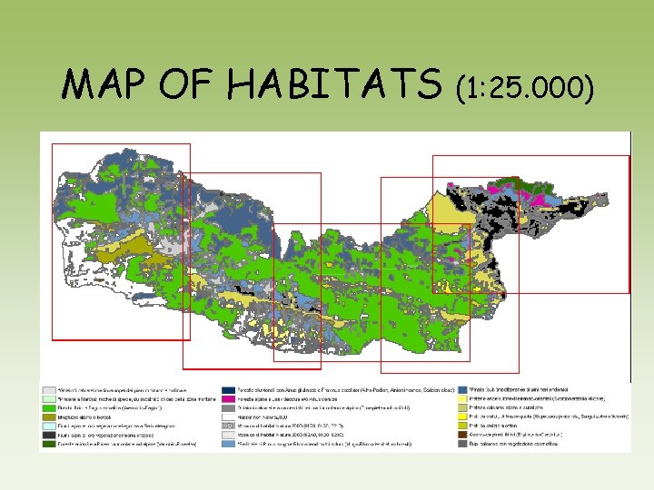 MAP OF HABITATS (1: 25. 000) 