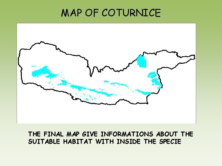 MAP OF COTURNICE THE FINAL MAP GIVE INFORMATIONS ABOUT THE SUITABLE HABITAT WITH INSIDE MAP OF COTURNICE THE FINAL MAP GIVE INFORMATIONS ABOUT THE SUITABLE HABITAT WITH INSIDE