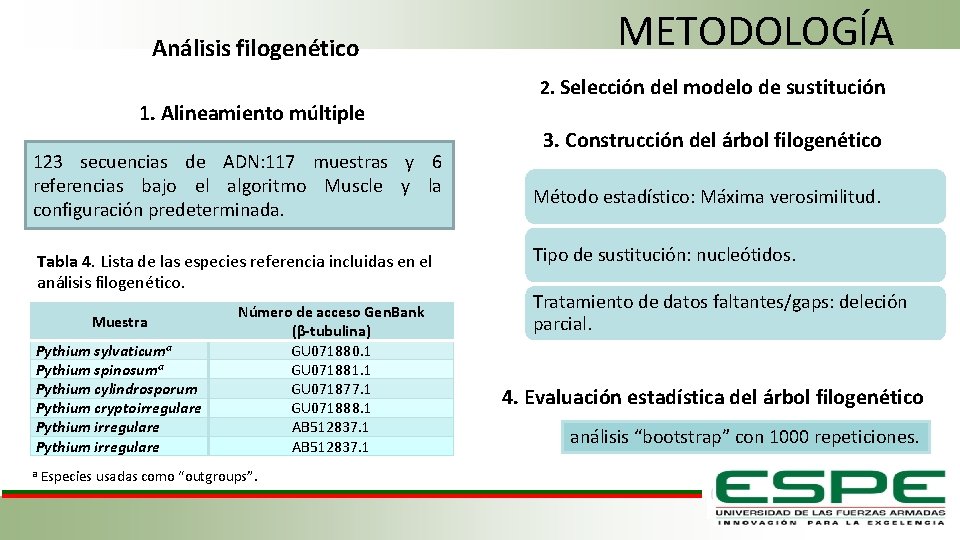 Análisis filogenético 1. Alineamiento múltiple 123 secuencias de ADN: 117 muestras y 6 referencias