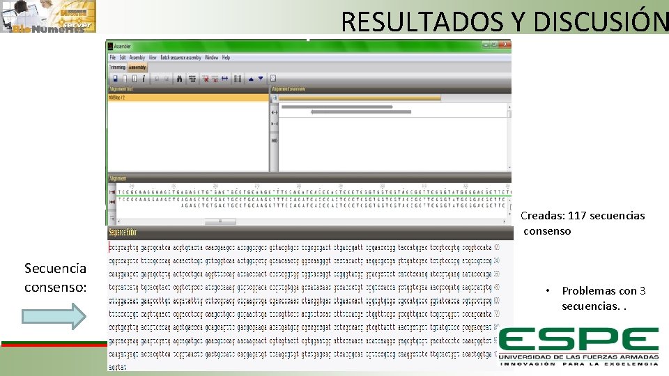 RESULTADOS Y DISCUSIÓN Creadas: 117 secuencias consenso Secuencia consenso: • Problemas con 3 secuencias.