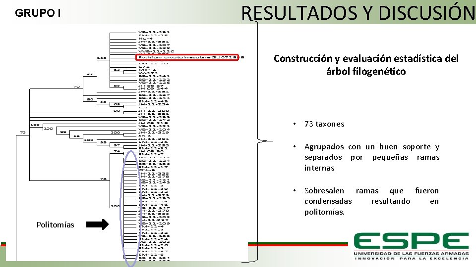 GRUPO I RESULTADOS Y DISCUSIÓN Construcción y evaluación estadística del árbol filogenético • 73