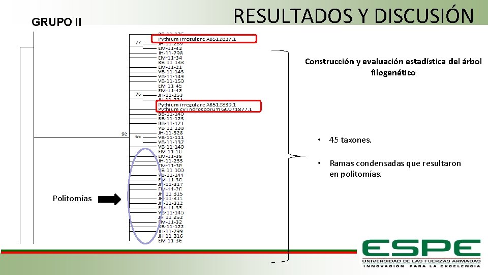 GRUPO II RESULTADOS Y DISCUSIÓN Construcción y evaluación estadística del árbol filogenético • 45