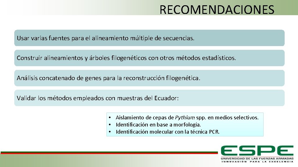 RECOMENDACIONES Usar varias fuentes para el alineamiento múltiple de secuencias. Construir alineamientos y árboles