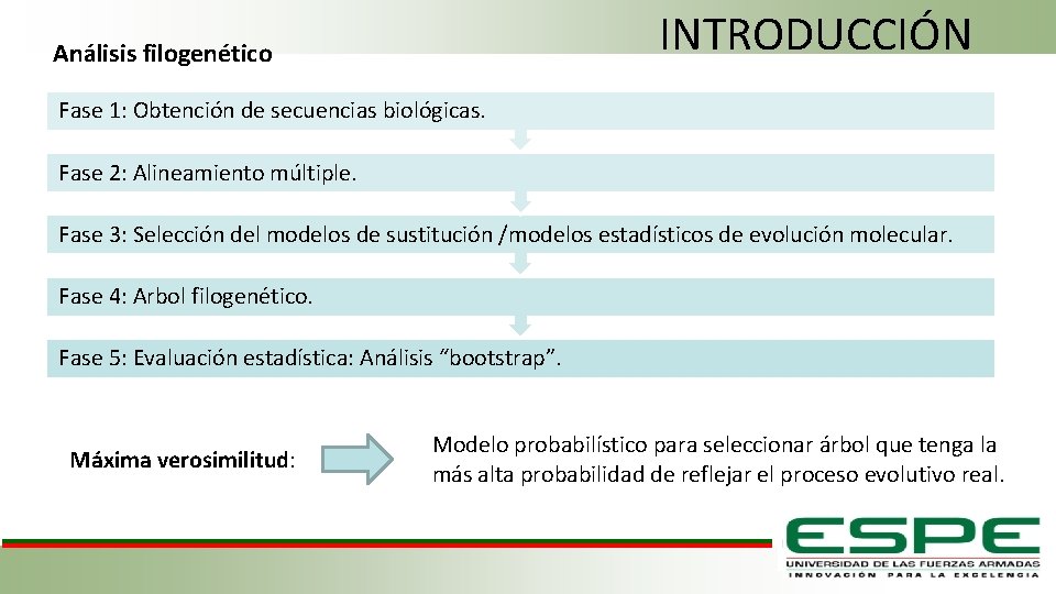 INTRODUCCIÓN Análisis filogenético Fase 1: Obtención de secuencias biológicas. Fase 2: Alineamiento múltiple. Fase