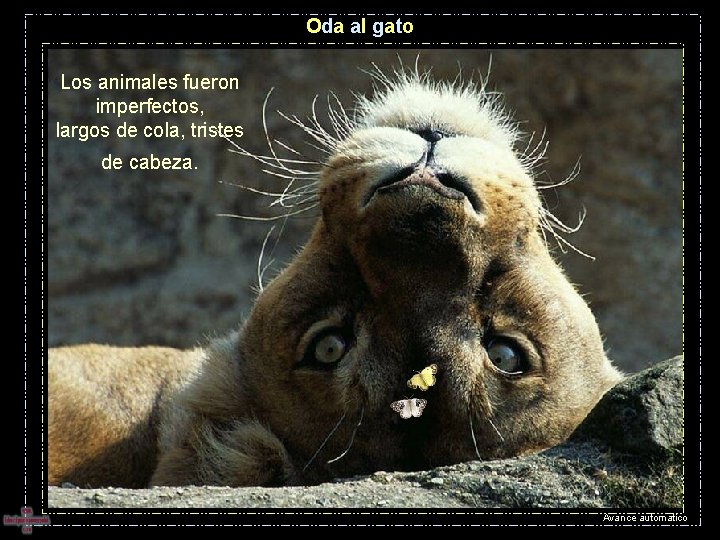 Oda al gato Los animales fueron imperfectos, largos de cola, tristes de cabeza. Avance Oda al gato Los animales fueron imperfectos, largos de cola, tristes de cabeza. Avance