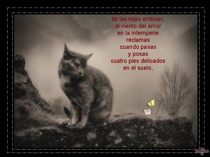 de las tejas eróticas, el viento del amor en la intemperie reclamas cuando pasas de las tejas eróticas, el viento del amor en la intemperie reclamas cuando pasas