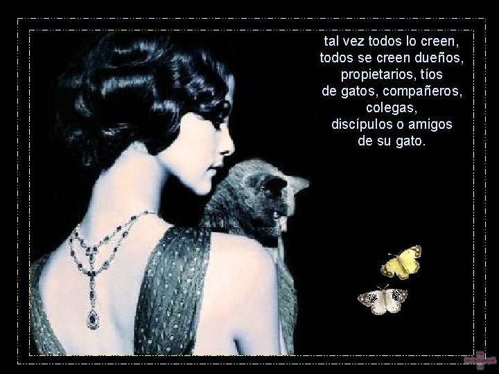 tal vez todos lo creen, todos se creen dueños, propietarios, tíos de gatos, compañeros, tal vez todos lo creen, todos se creen dueños, propietarios, tíos de gatos, compañeros,