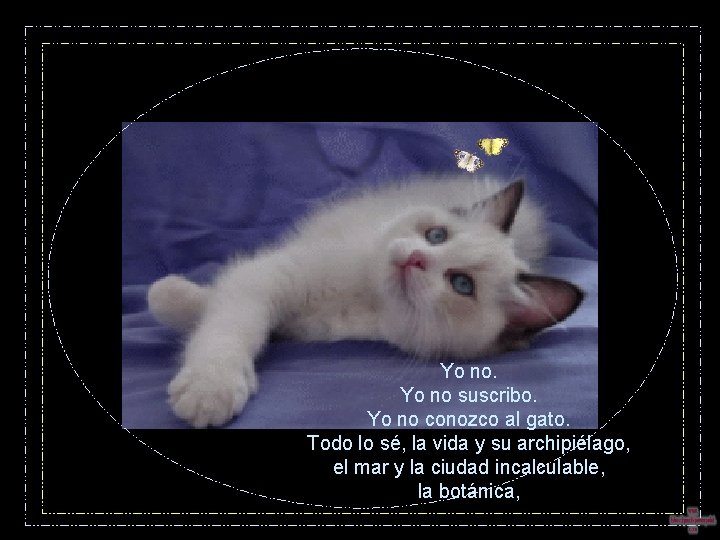 Yo no suscribo. Yo no conozco al gato. Todo lo sé, la vida y Yo no suscribo. Yo no conozco al gato. Todo lo sé, la vida y