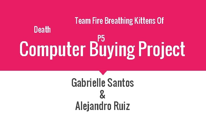 Death Team Fire Breathing Kittens Of P 5 Computer Buying Project Gabrielle Santos &