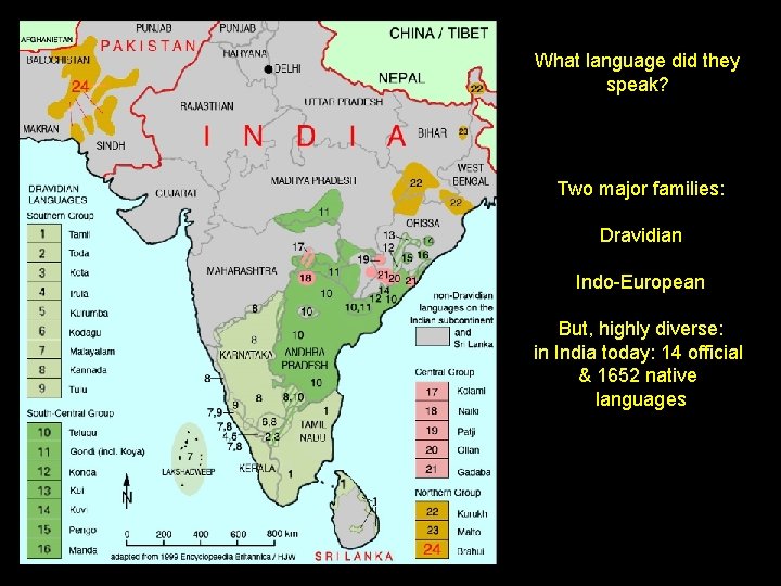 What language did they speak? Two major families: Dravidian Indo-European But, highly diverse: in