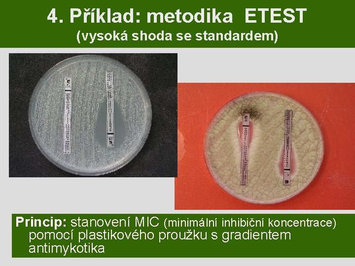 4. Příklad: metodika ETEST (vysoká shoda se standardem) Princip: stanovení MIC (minimální inhibiční koncentrace)