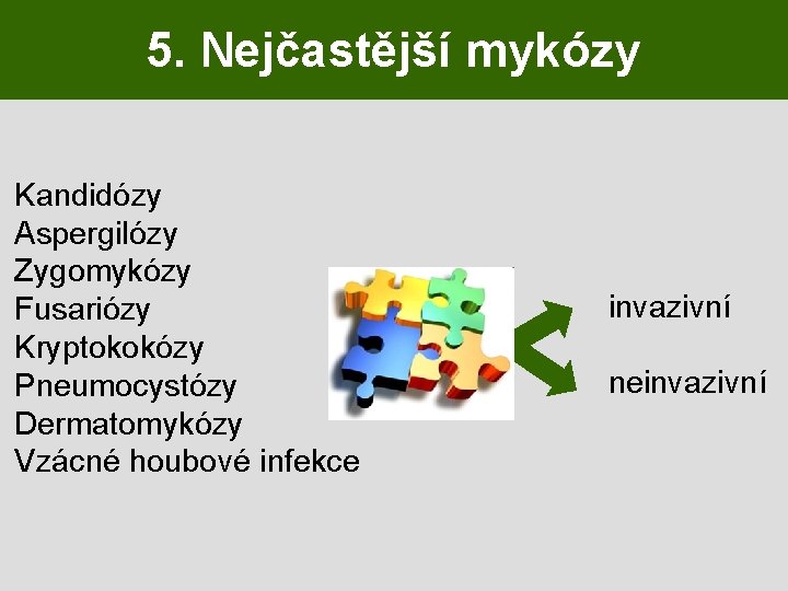 5. Nejčastější mykózy Kandidózy Aspergilózy Zygomykózy Fusariózy Kryptokokózy Pneumocystózy Dermatomykózy Vzácné houbové infekce invazivní