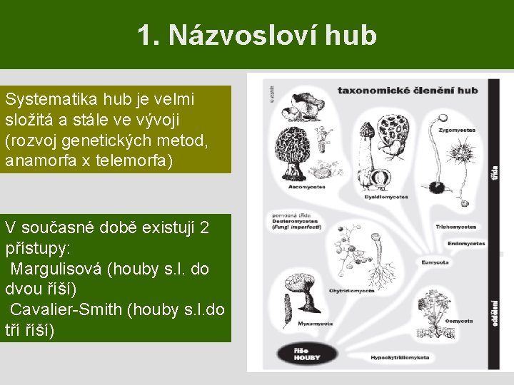 1. Názvosloví hub Systematika hub je velmi složitá a stále ve vývoji (rozvoj genetických