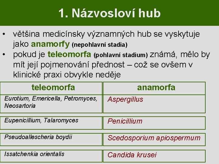 1. Názvosloví hub • většina medicínsky významných hub se vyskytuje jako anamorfy (nepohlavní stadia)