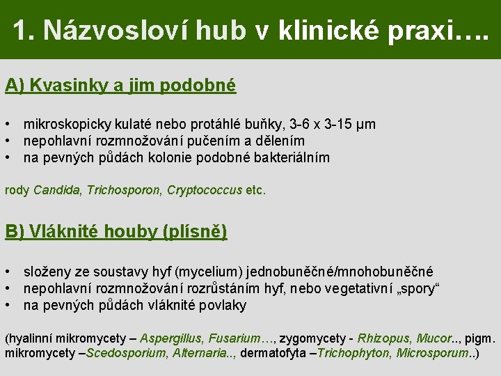 1. Názvosloví hub v klinické praxi…. A) Kvasinky a jim podobné • mikroskopicky kulaté