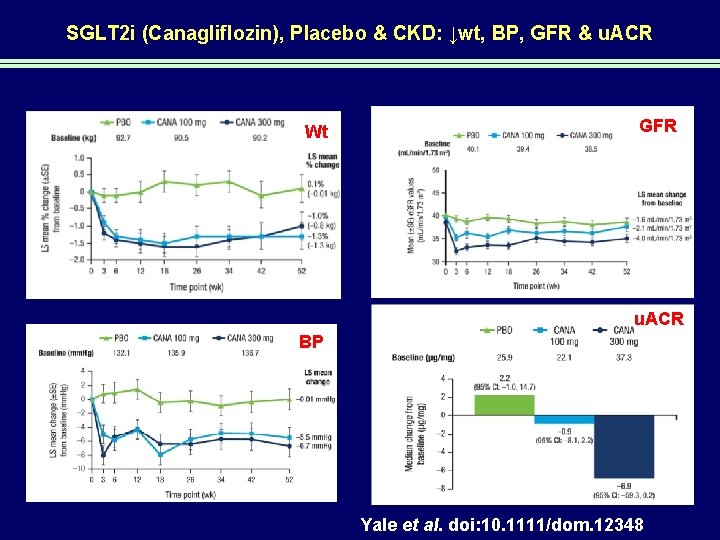 SGLT 2 i (Canagliflozin), Placebo & CKD: ↓wt, BP, GFR & u. ACR Wt