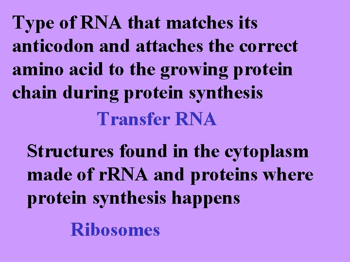Dna Rna Proteins Vocab Review Chapter 12 Main