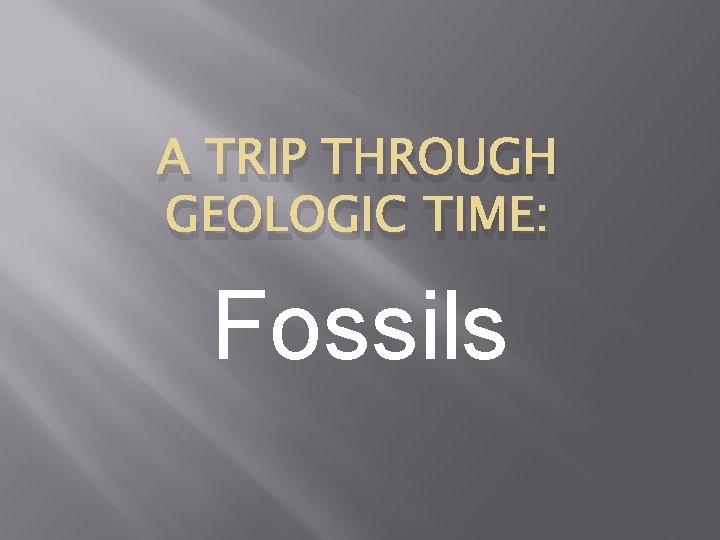 A TRIP THROUGH GEOLOGIC TIME: Fossils 